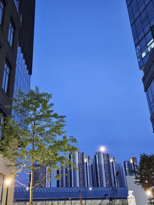 도시의 보름달