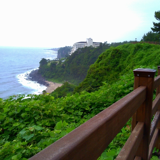 해안 절벽 전망