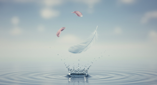 깃털과 꽃잎이 물에 떨어지는 모습